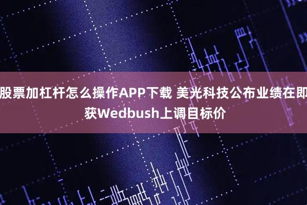 股票加杠杆怎么操作APP下载 美光科技公布业绩在即 获Wedbush上调目标价