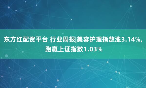 东方红配资平台 行业周报|美容护理指数涨3.14%, 跑赢上证指数1.03%