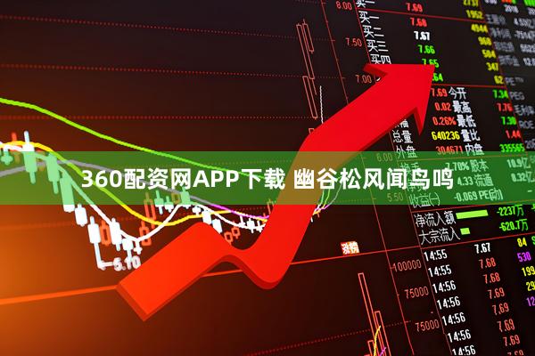 360配资网APP下载 幽谷松风闻鸟鸣